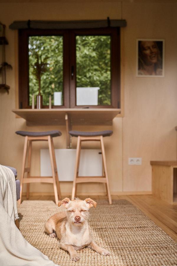 Tiny House Örebro Eksteriør billede